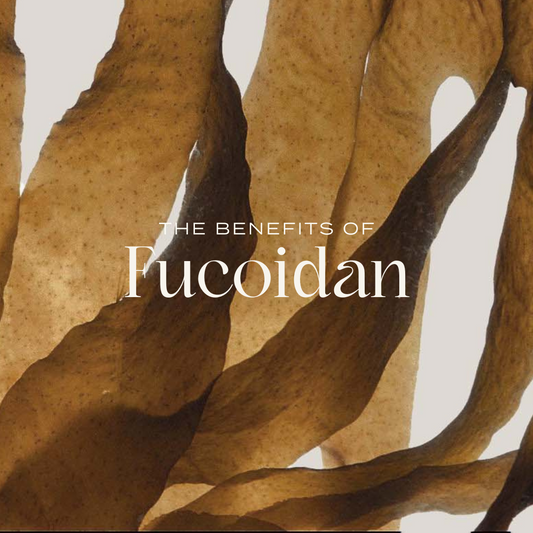 Discover Fucoidan: 5 Key Health Benefits